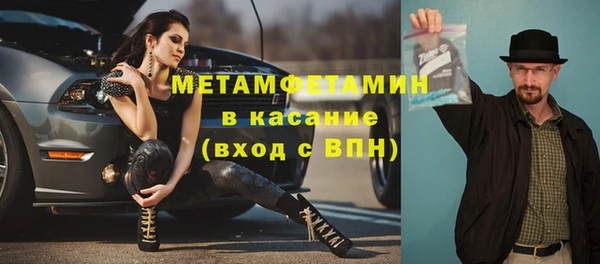 прущие грибы Богородицк