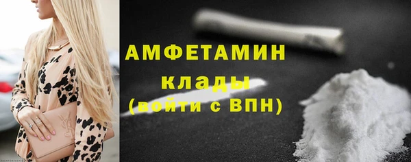 амф Богданович
