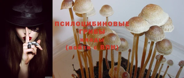 амф Богданович
