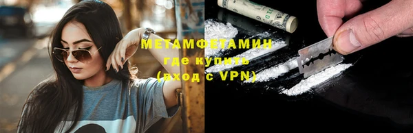 прущие грибы Богородицк