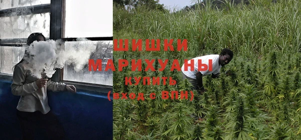 прущие грибы Богородицк