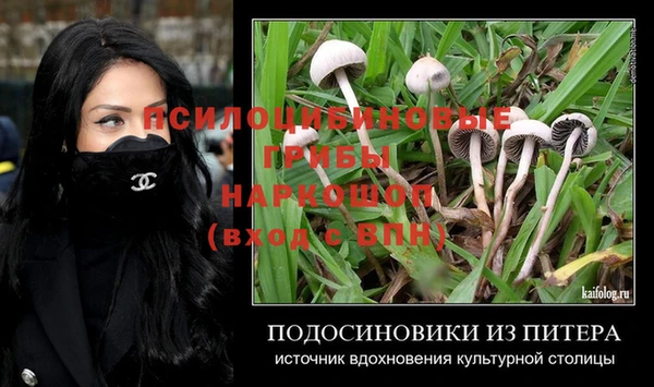 амф Богданович