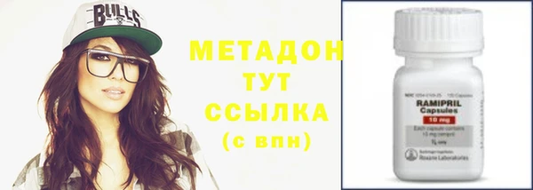 прущие грибы Богородицк