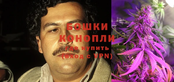 прущие грибы Богородицк