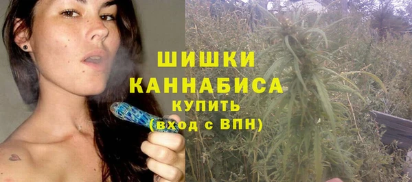 прущие грибы Богородицк