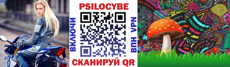 Галлюциногенные грибы MAGIC MUSHROOMS где можно купить Кореновск